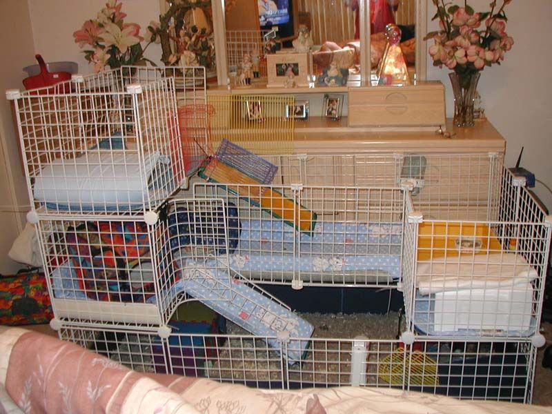 Three Level Condo Guinea Pig Cages