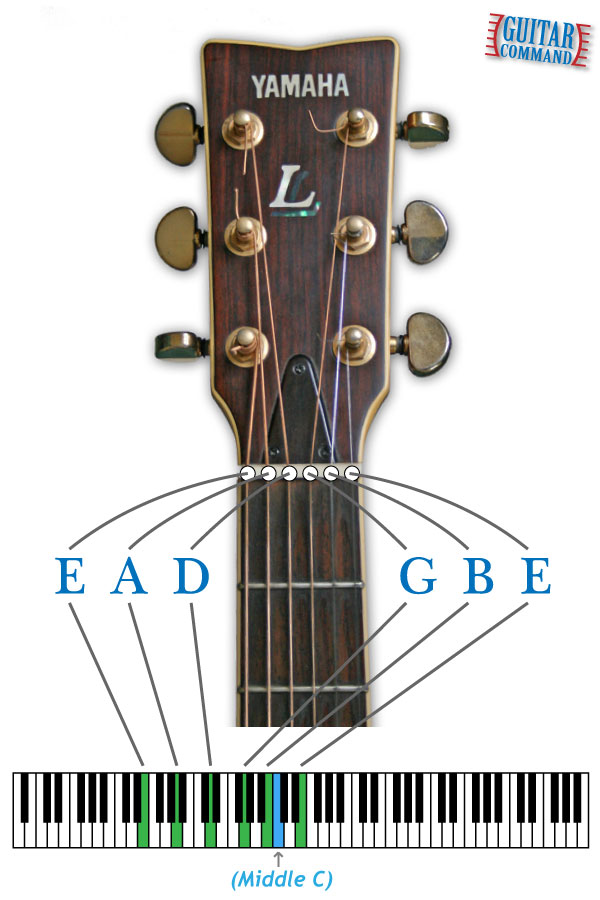 Guitar