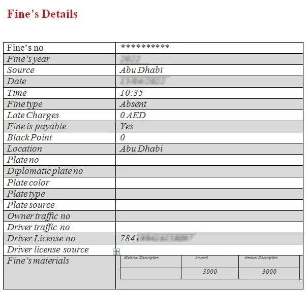 How to Check Fine on Emirates ID in UAE 2024 Gulfistan