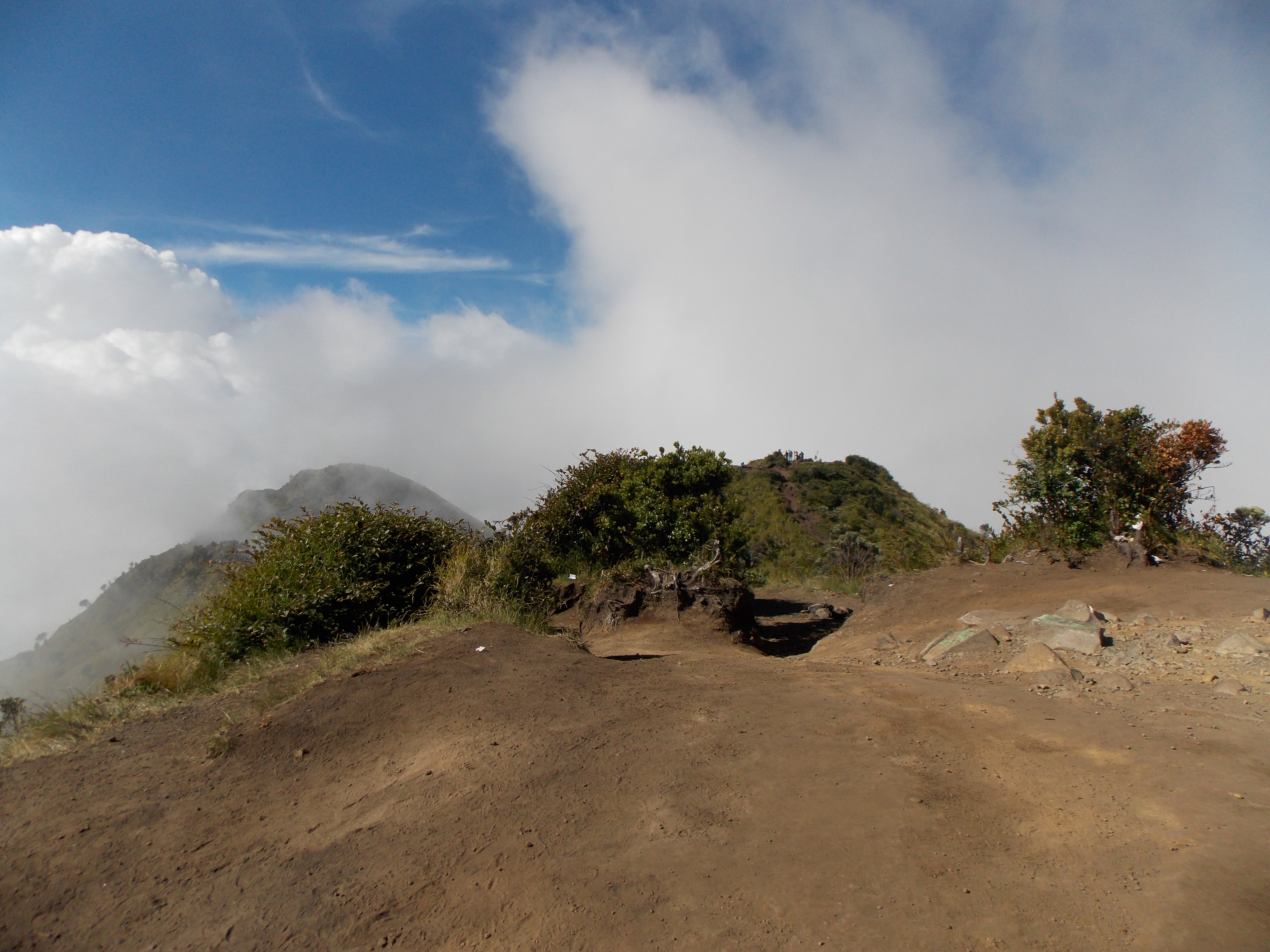 Gunung Merbabu Gunung Bagging