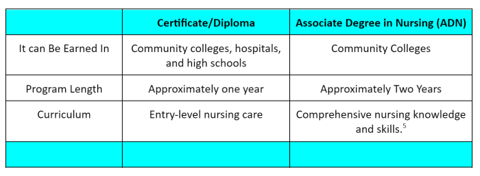An LVN Diploma–A Stepping Stone Toward a Rewarding Career An LVN Diploma–A Stepping Stone Toward a Rewarding Career