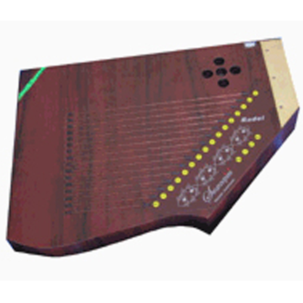 Raagini Digital Professional Electronic Tanpura Box Guru Soundz