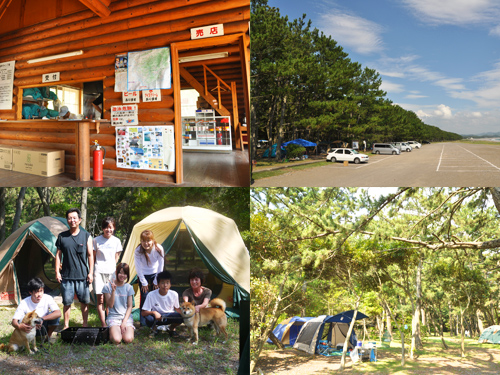 煙樹海岸キャンプ場 美浜町 キャンプ場｜和歌山情報サイト ぐるわか