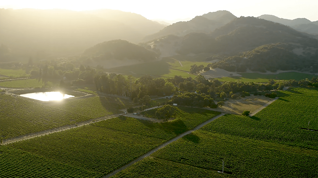 Markham Napa Valley Vineyards The Altruist 2017 Gus Clemens on Wine