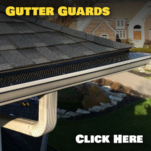 Gutter Cleaning Services SE Michigan Gutterdude
