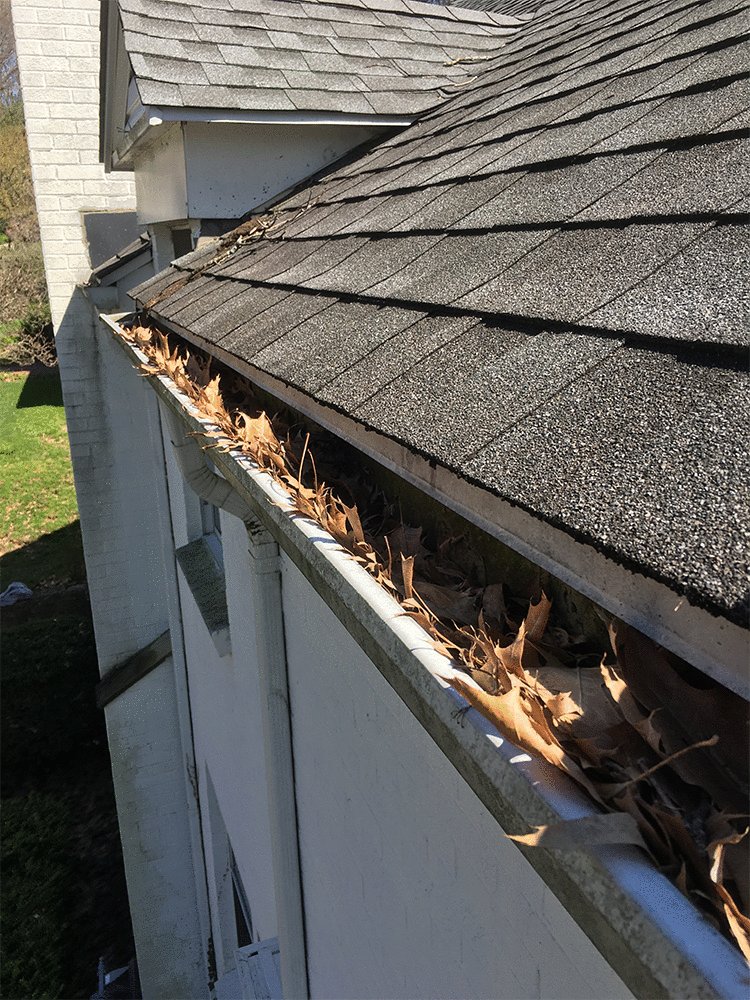 5inchcloggedgutter Gutter Guards Direct