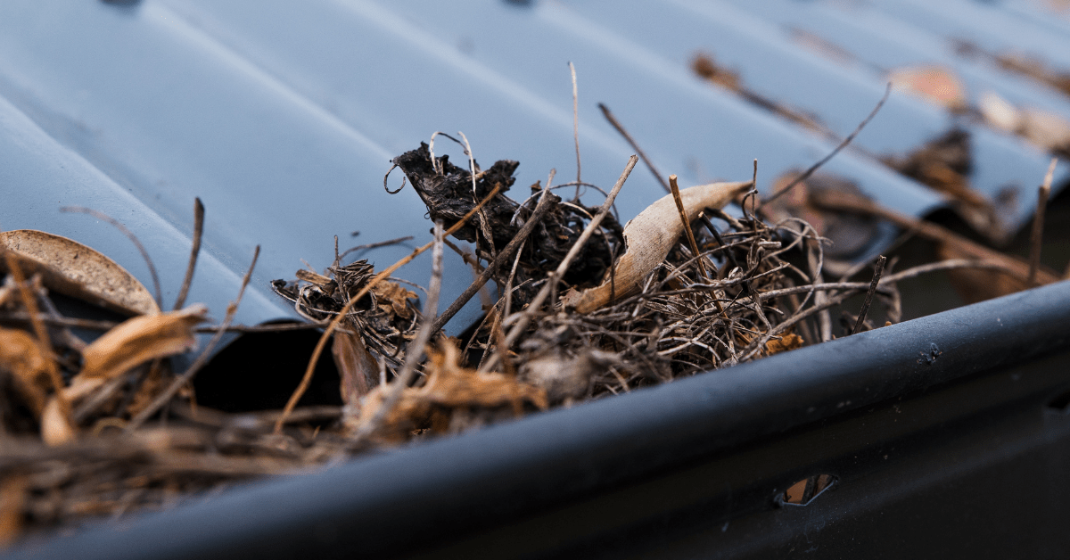 How to enhance your Sutherland Shire home's curb appeal with regular