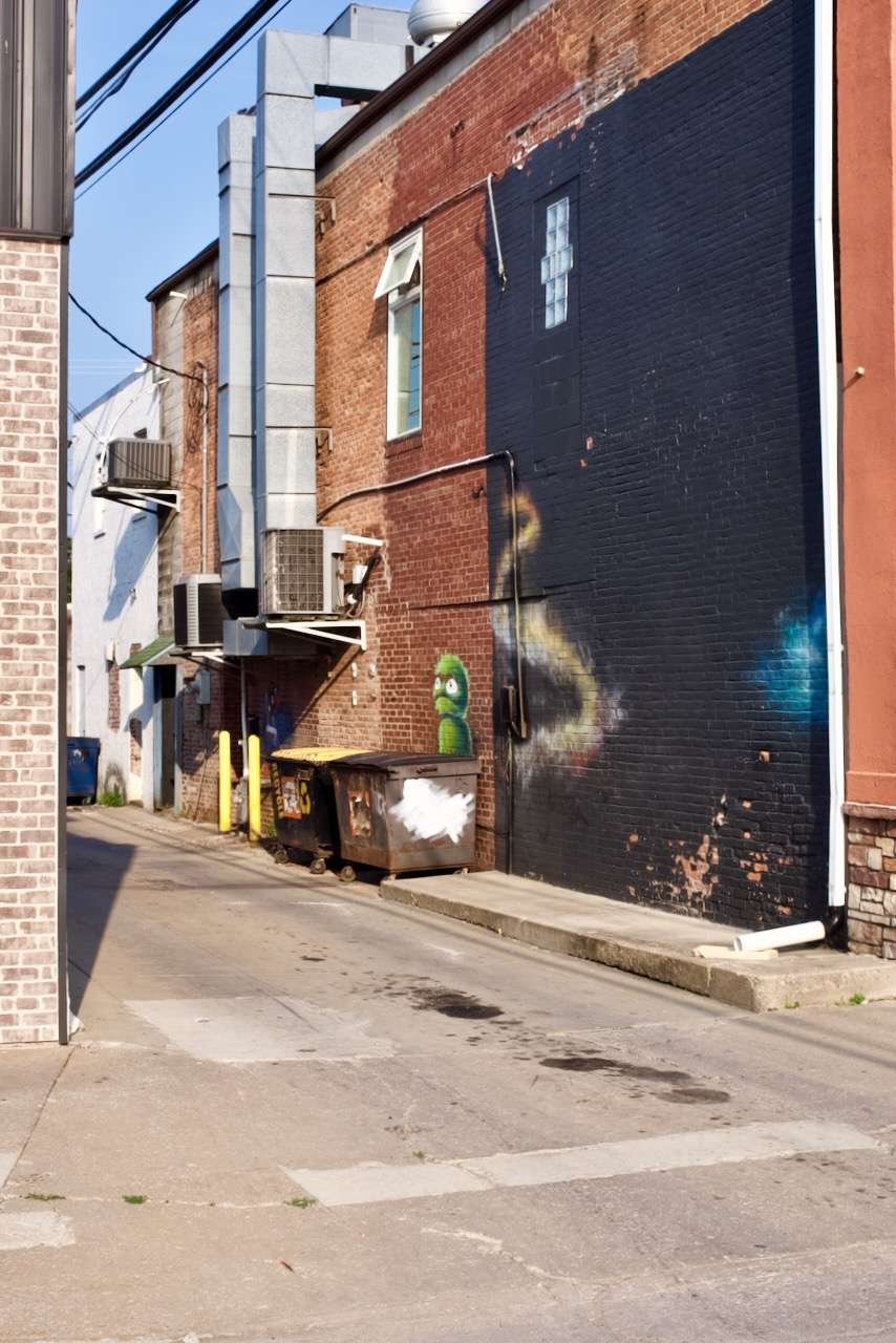 The Alley Art of Fairfield Iowa Guy Harvey Photography