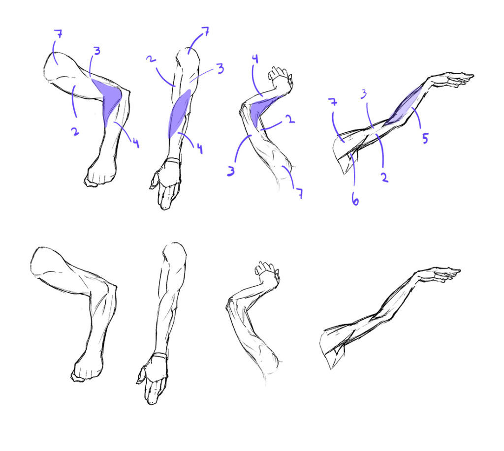 Learn to Draw Arms, Once and for All! GVAAT'S