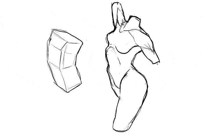 How to Draw the Female Torso, an inDepth Guide GVAAT'S