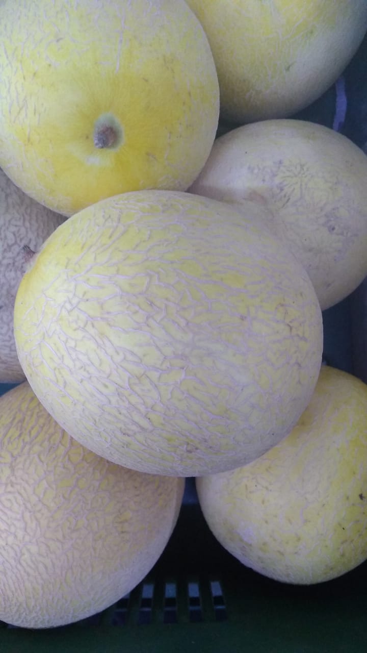 10 Surprising Health Benefits and Uses of Muskmelon (Cantaloupe) for