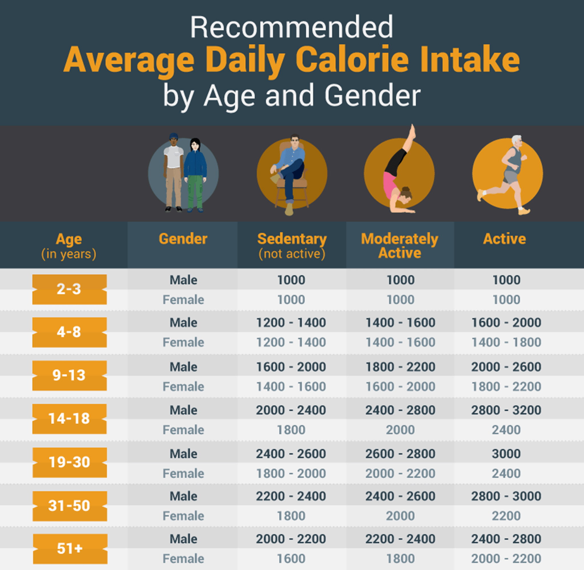 How Much Time It Takes To Build Muscles? Here's The Answer!