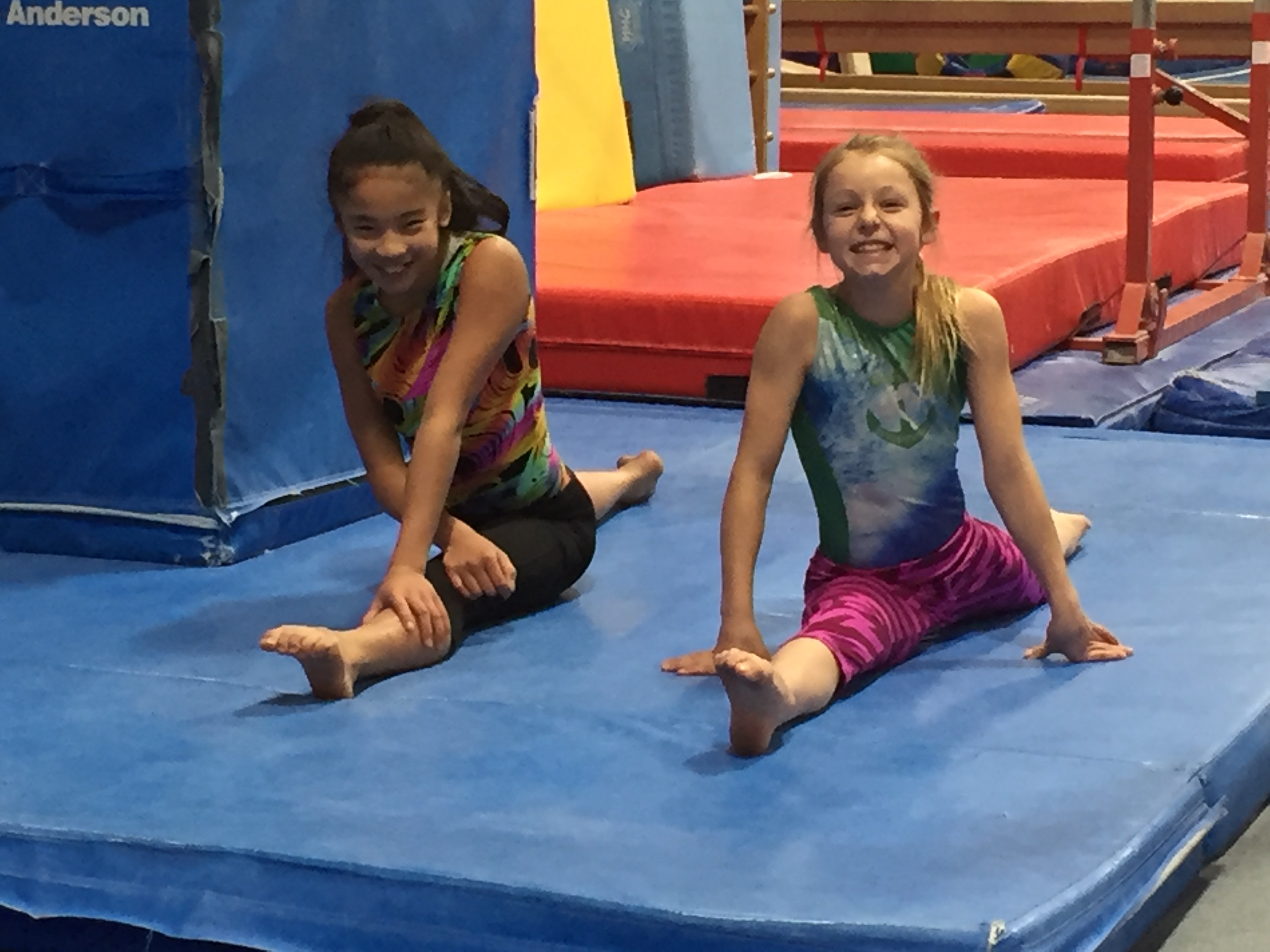 Secrets to High Level Gymnastics Training