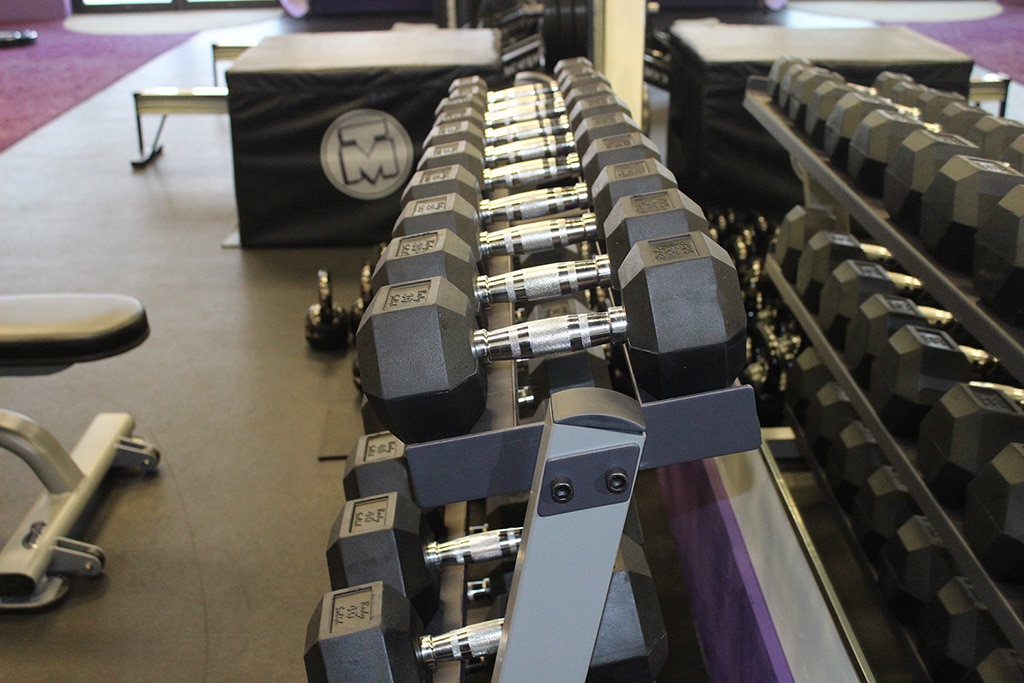 Team Moljo Strength and Conditioning outfitted with Gym Equipment