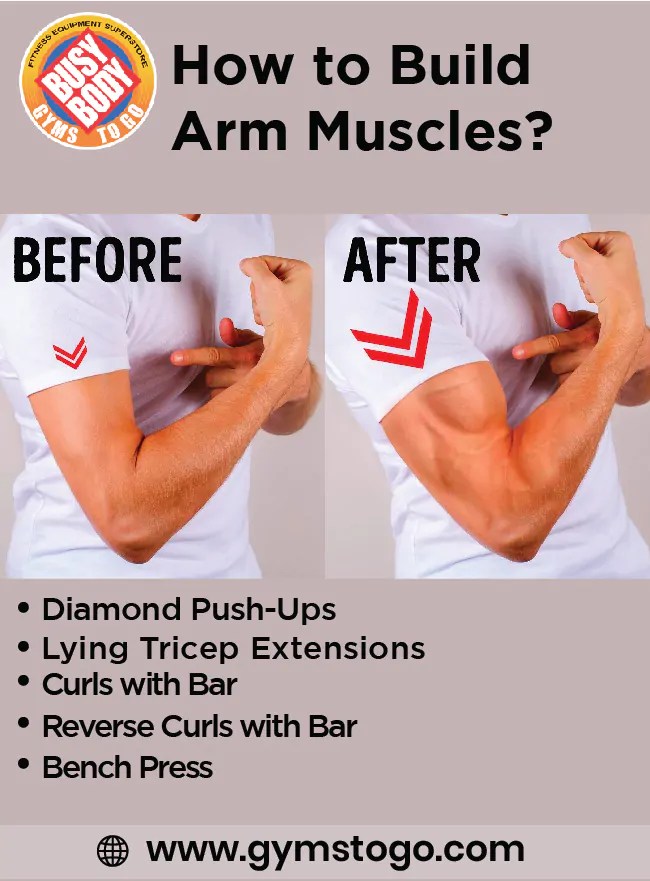 How to Build Arm Muscles? Expert Guide Busy Body Gyms To Go