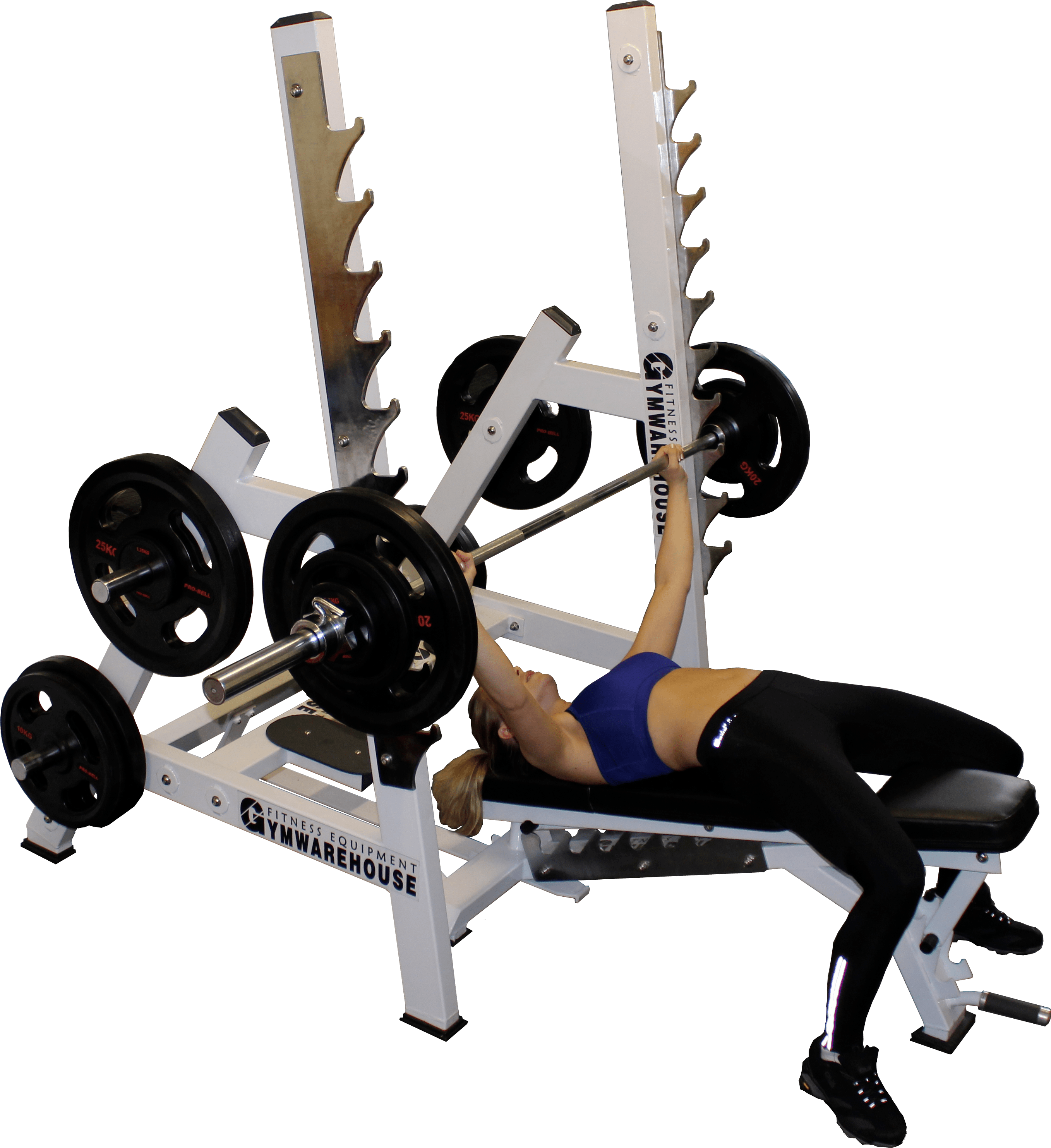 Ultra Versatile Bench Rack System