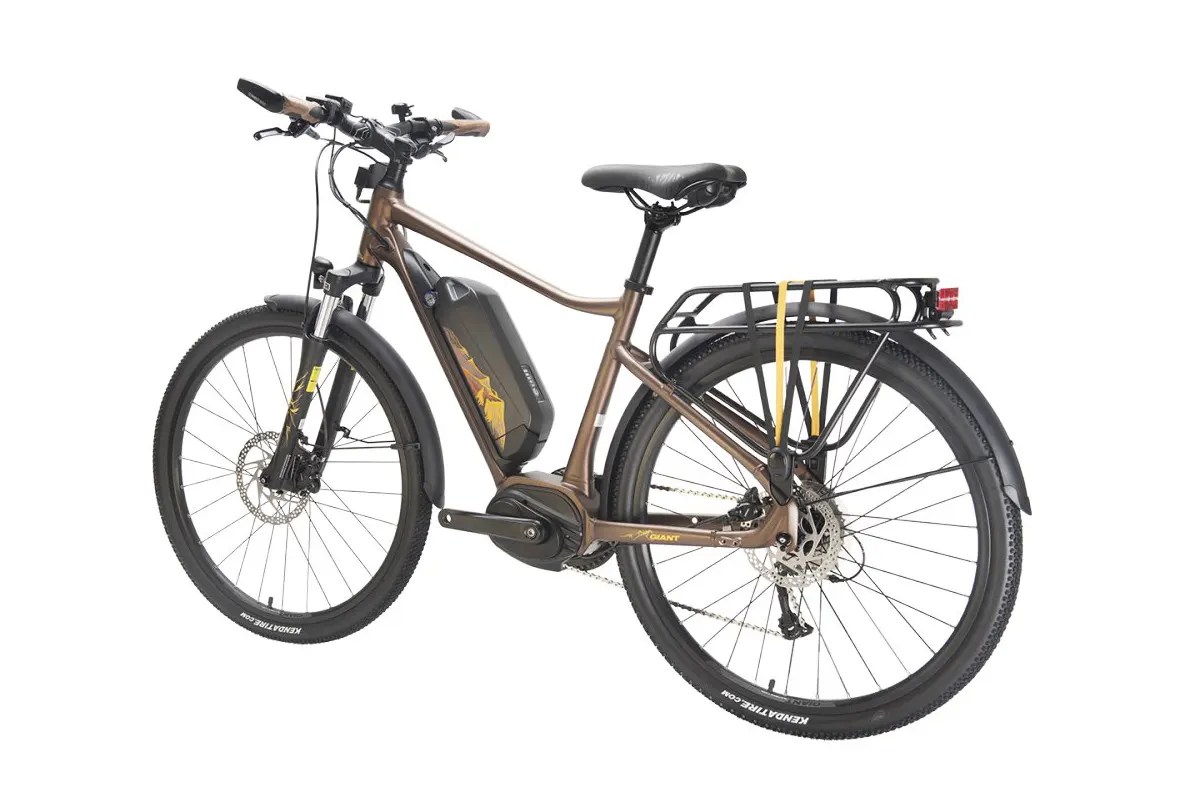Who are the top 10 electric bike brands in the world
