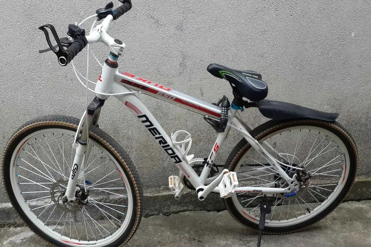 Who are the top 10 electric bike brands in the world