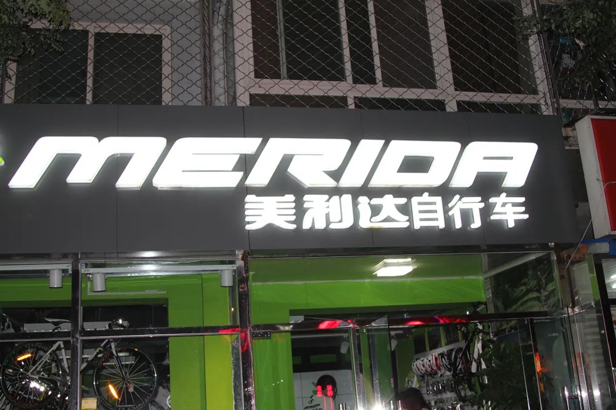 Who are the top 10 electric bike brands in the world