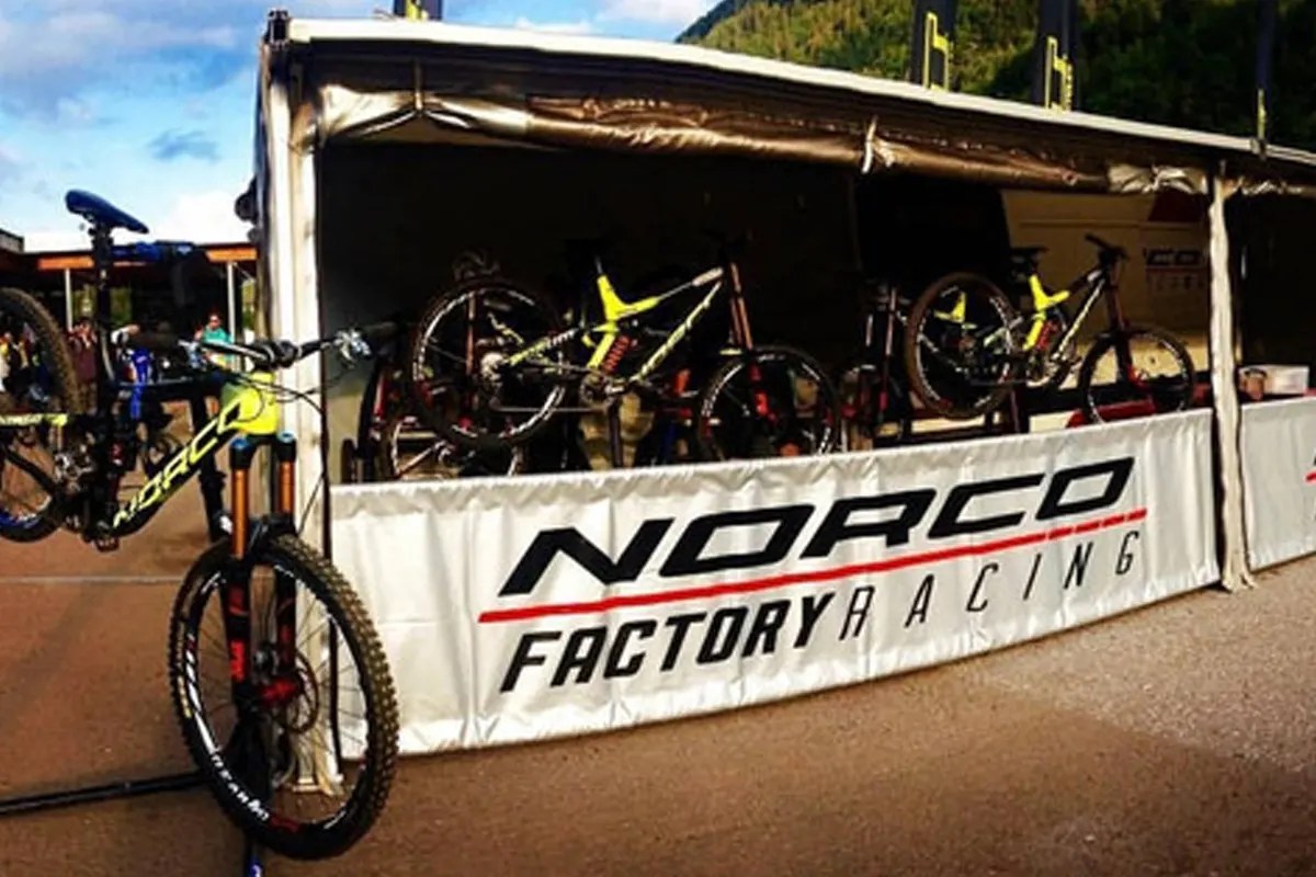 Who are the top 10 electric bike brands in the world