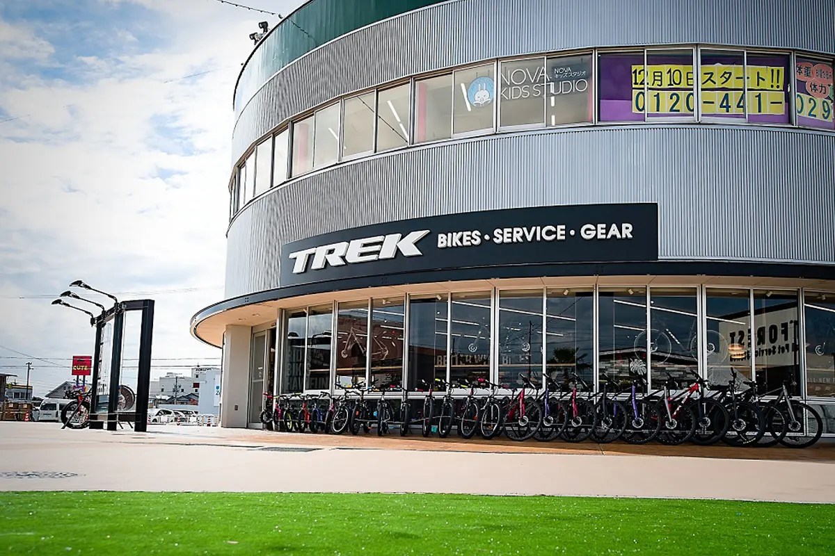 Who are the top 10 electric bike brands in the world