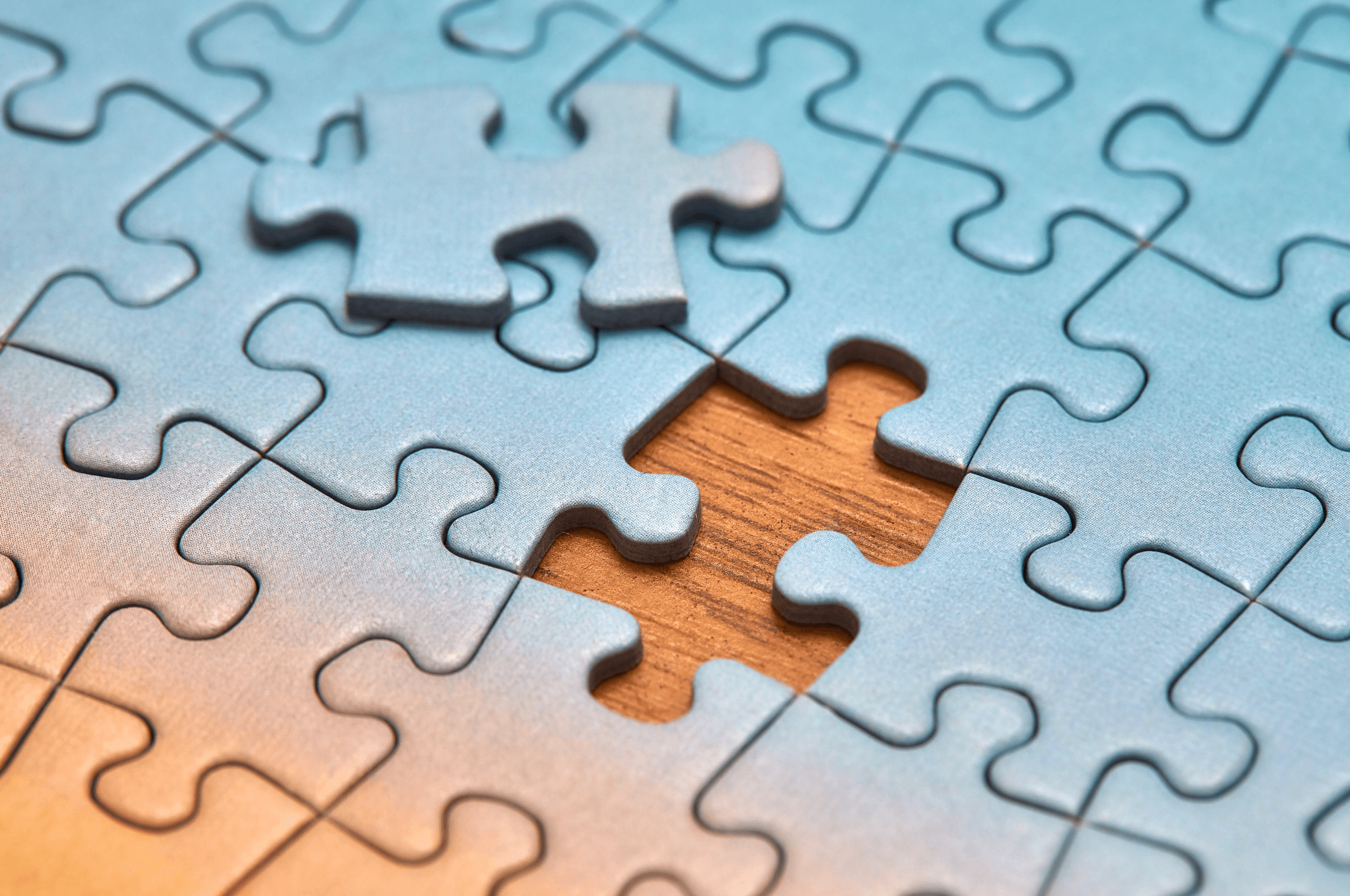 Missing Puzzle Piece