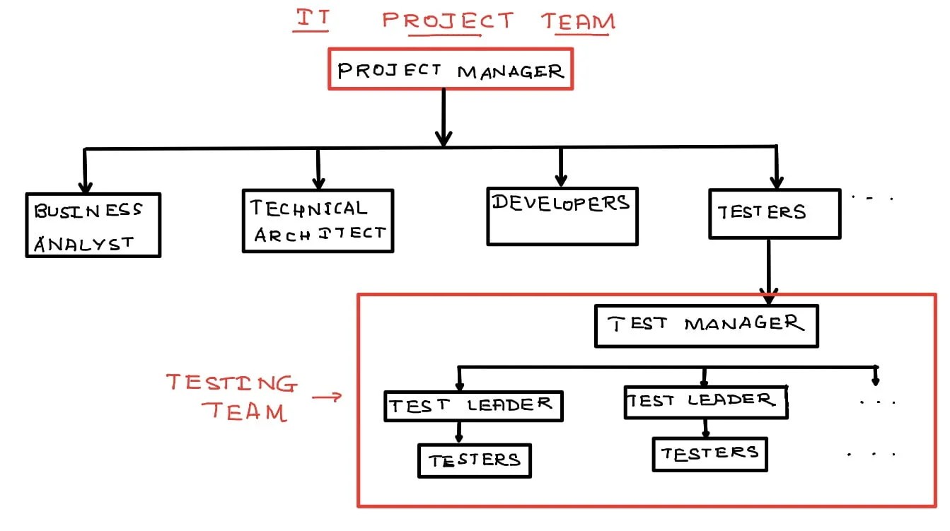 Different roles in a software testing team Software testing