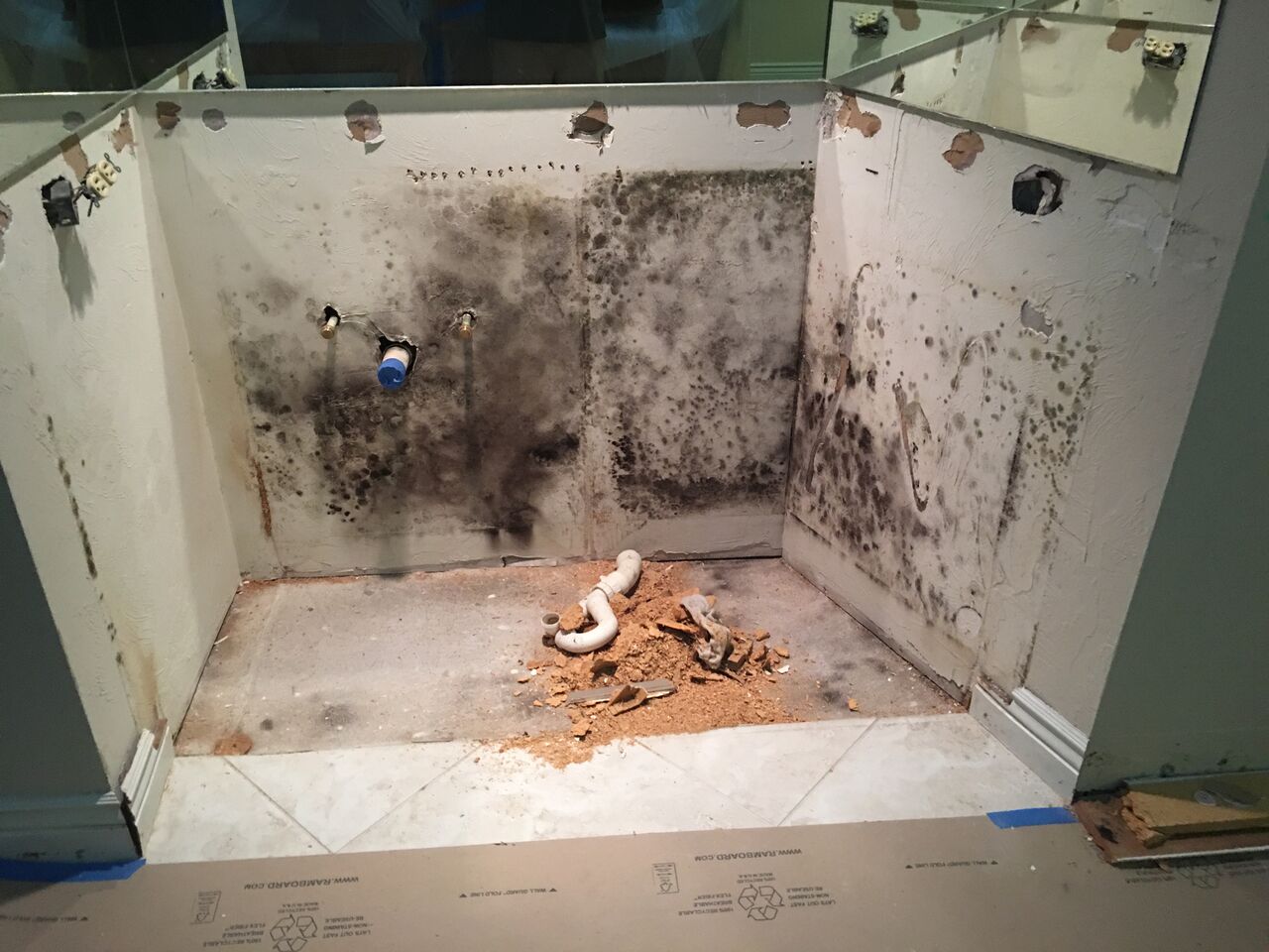 Mold Removal & Remediation Services Specialist Cape Coral & Fort Myers