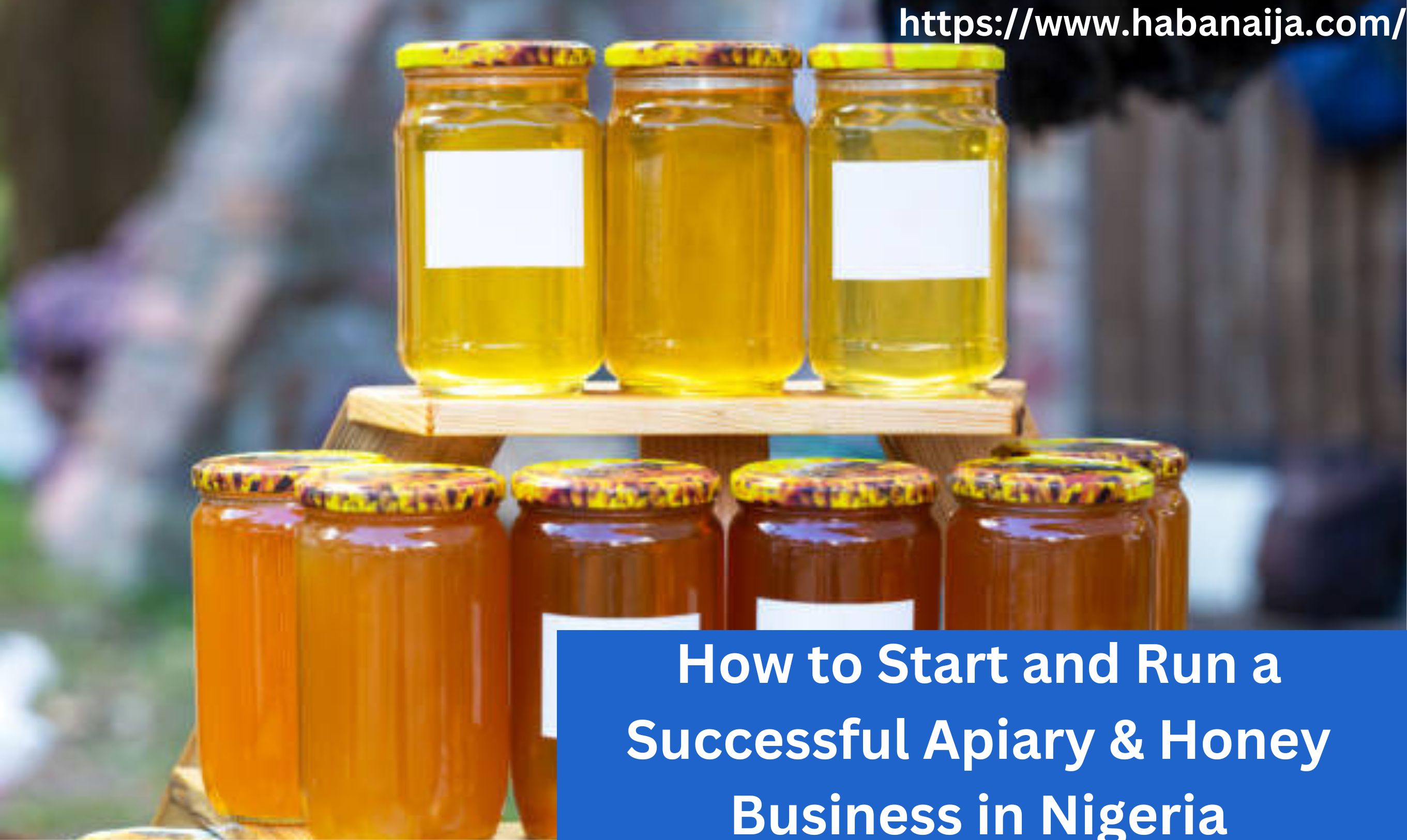 How to Start and Run a Successful Apiary & Honey Business in Nigeria