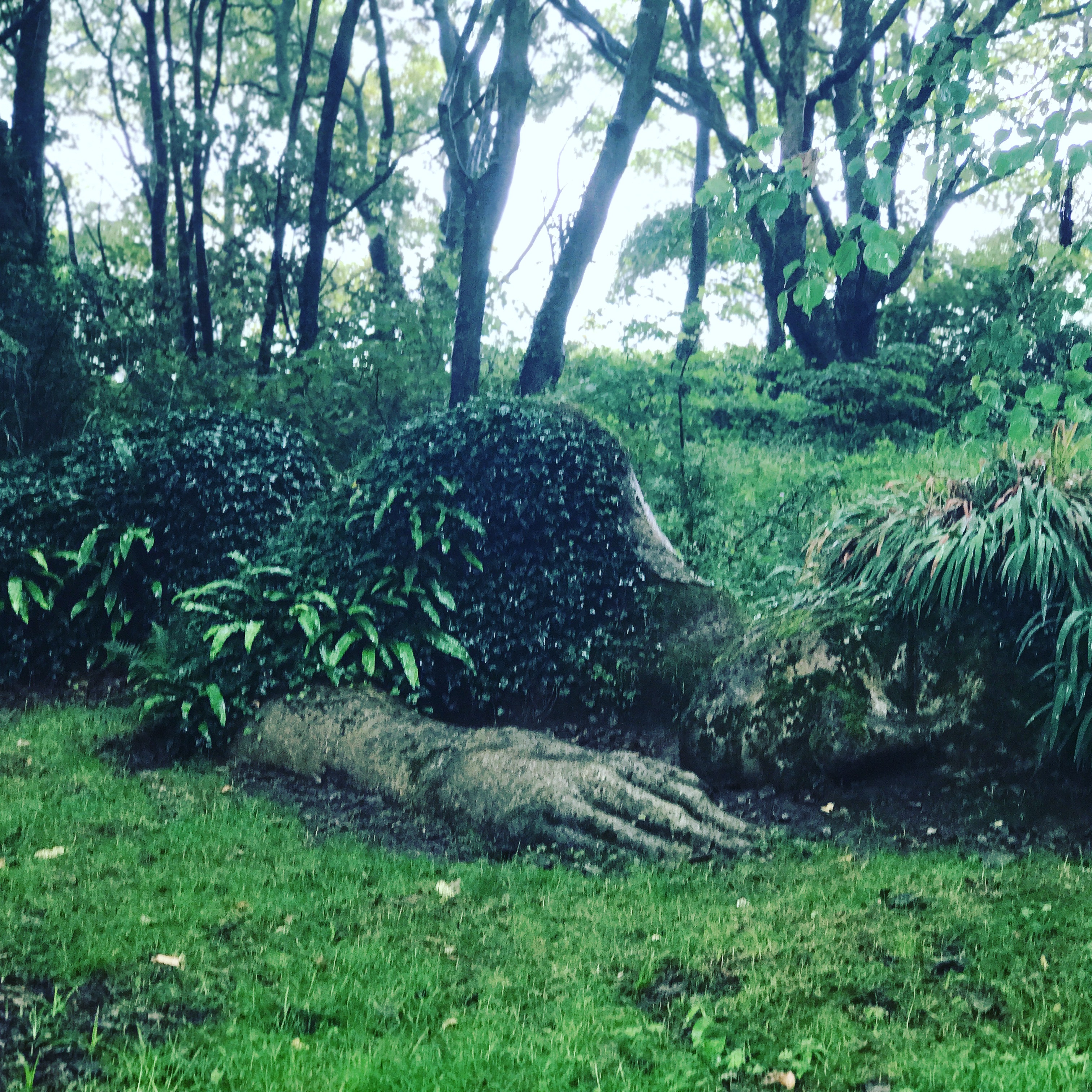 Kayte Nunn's 5 Favourite Gardens Hachette Australia