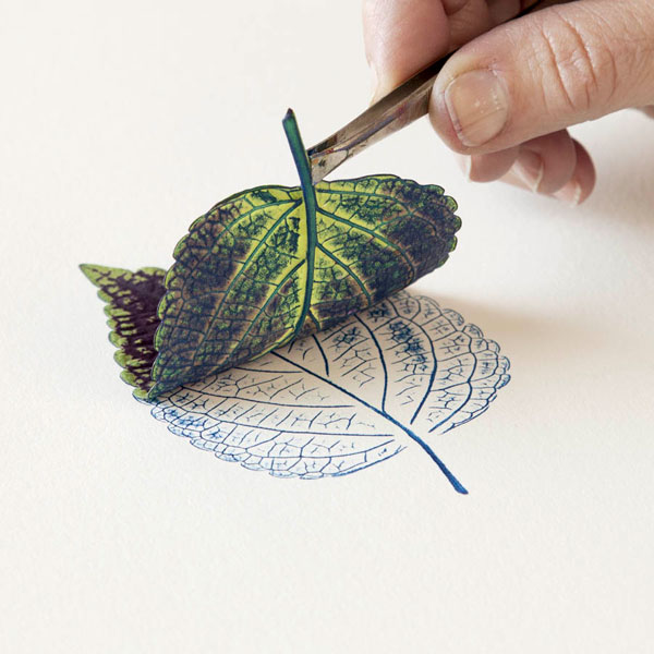 printing with leaves Hachette Book Group