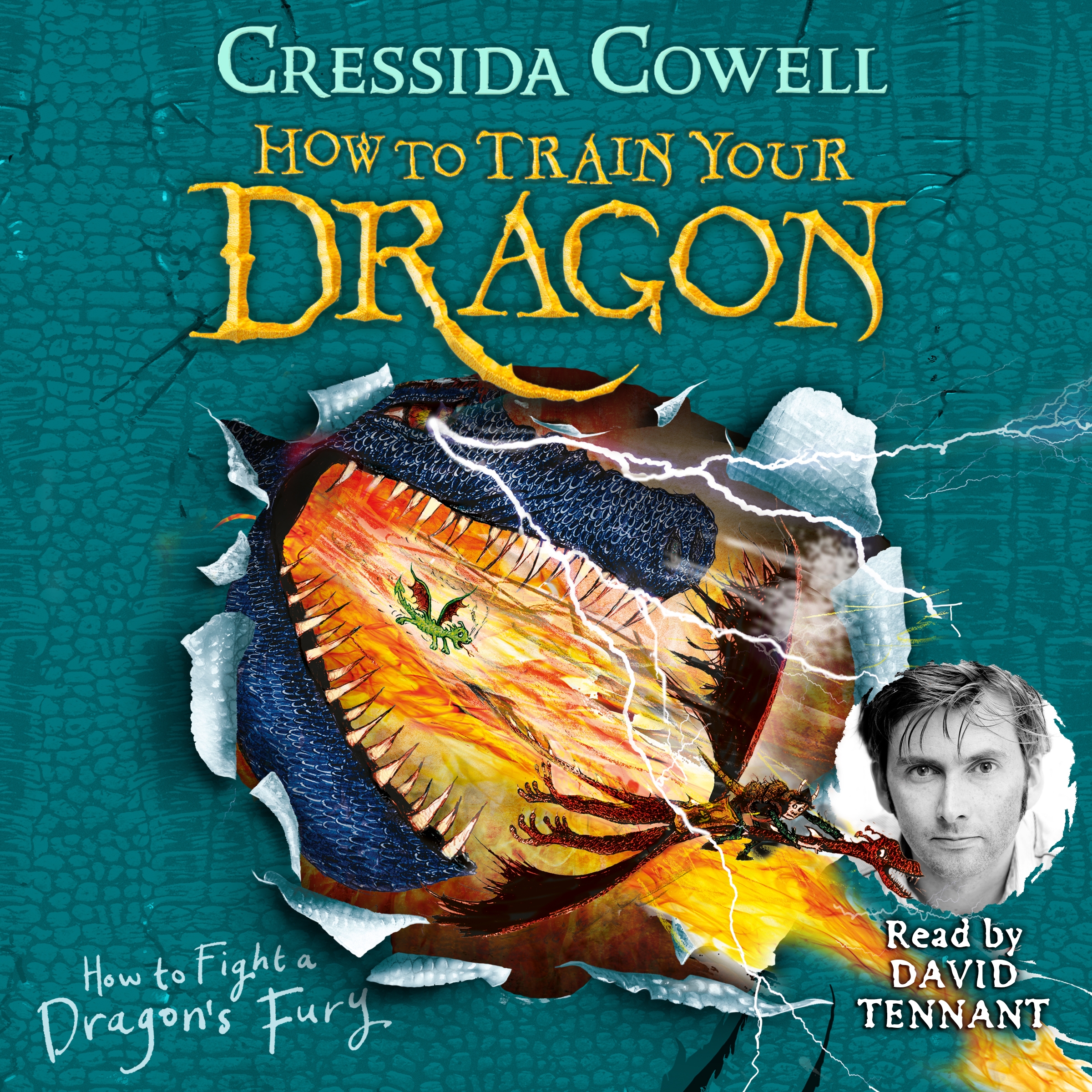 How to Train Your Dragon How to Fight a Dragon's Fury by Cressida
