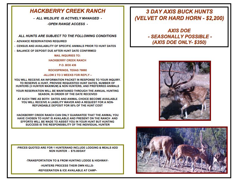 Axis Buck Hunts Hackberry Creek Ranch Open range Texas Hill Country