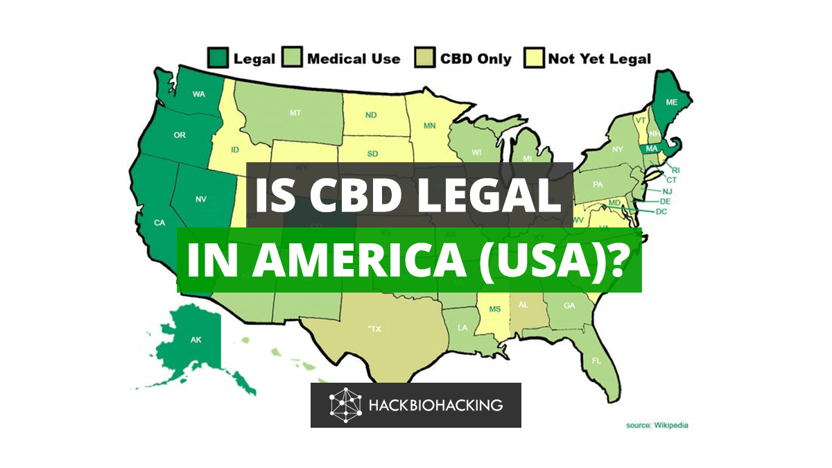 Is CBD Legal in the United States of America? Hack Biohacking