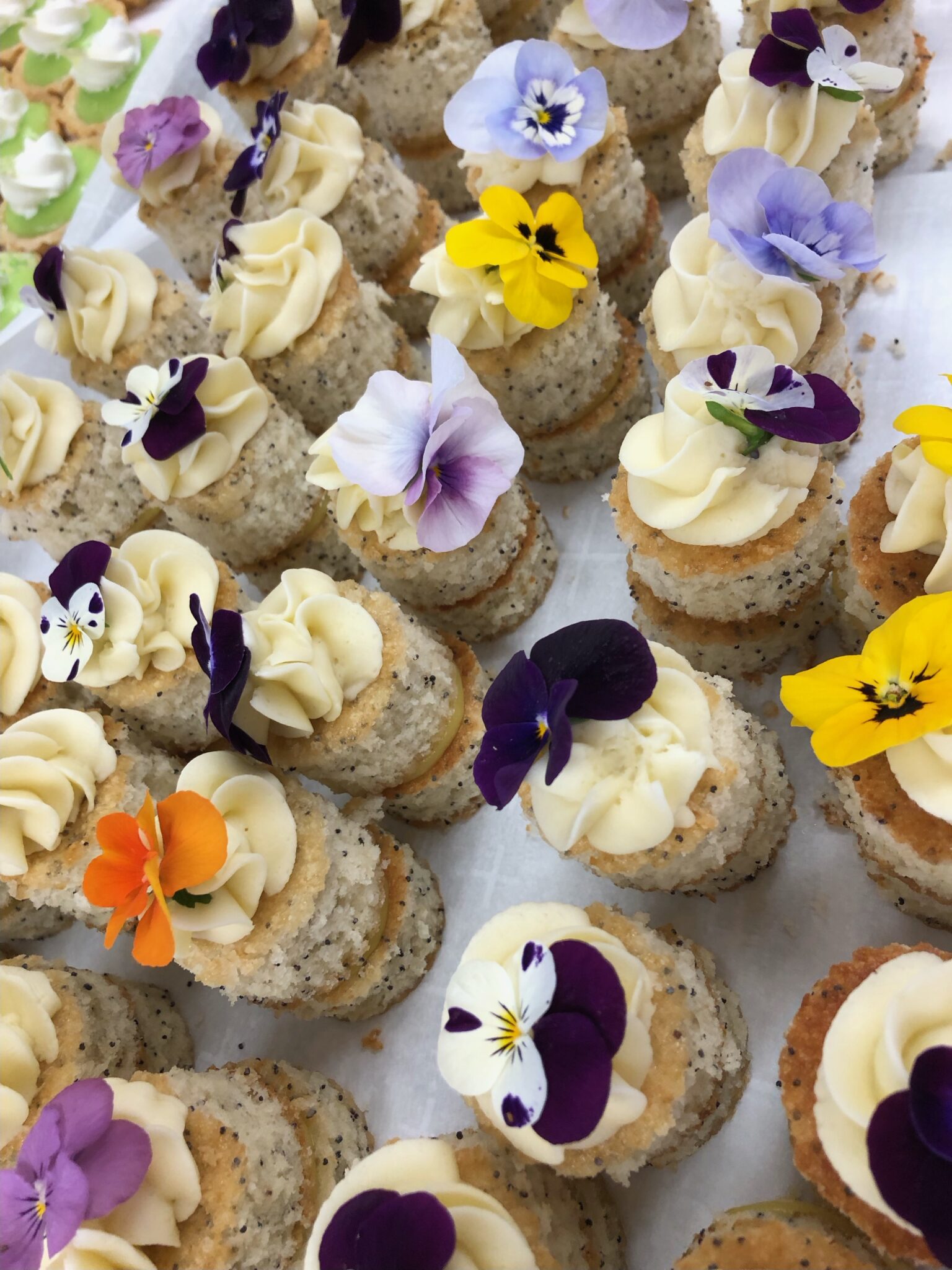 Tea Series Hackett House