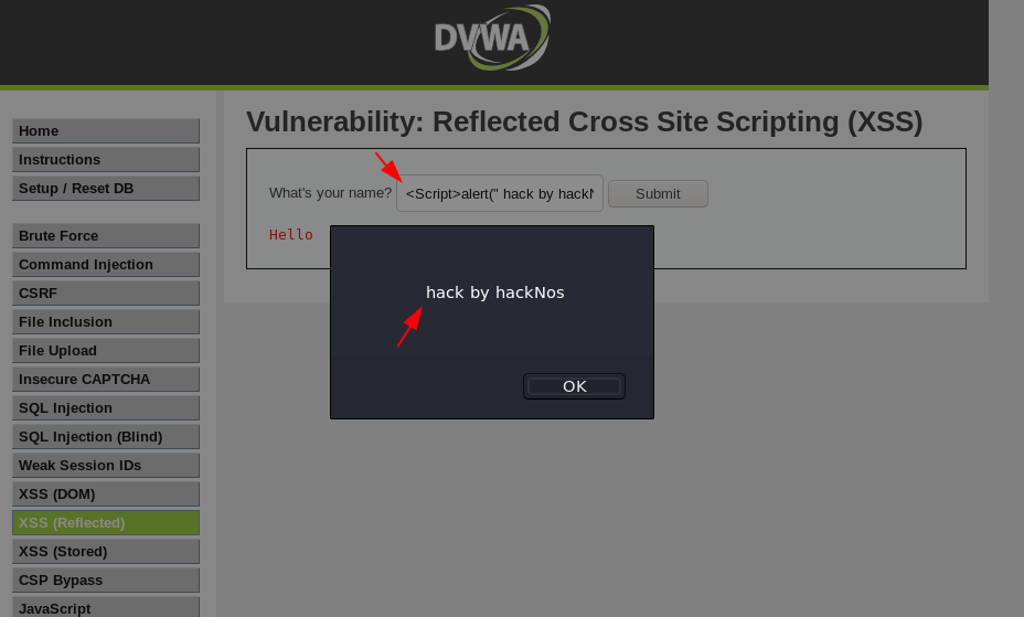 Cross Site Scripting xss attack HackNos Cross Site Scripting