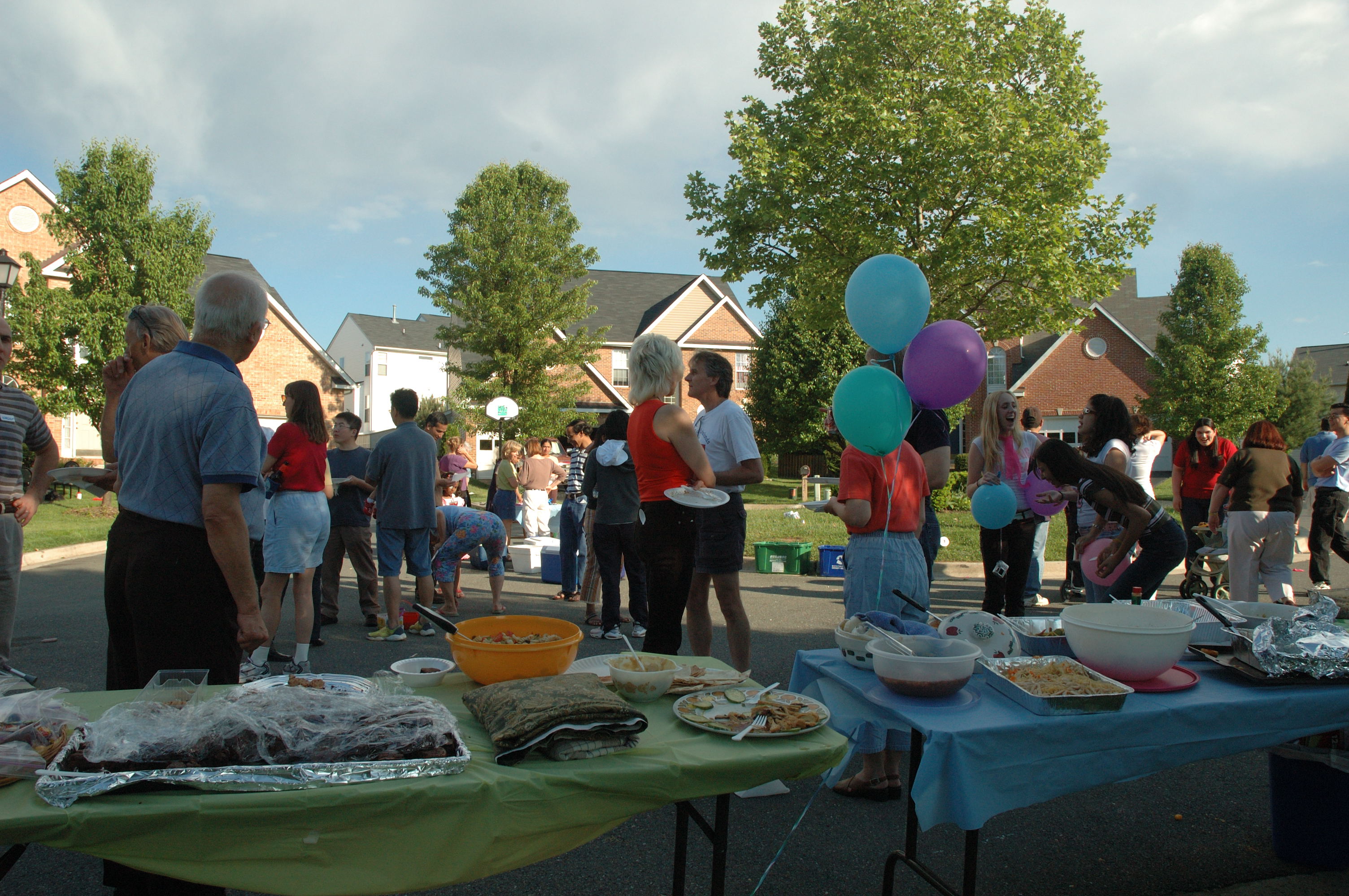 Orchard Hills Neighborhood Party Photos