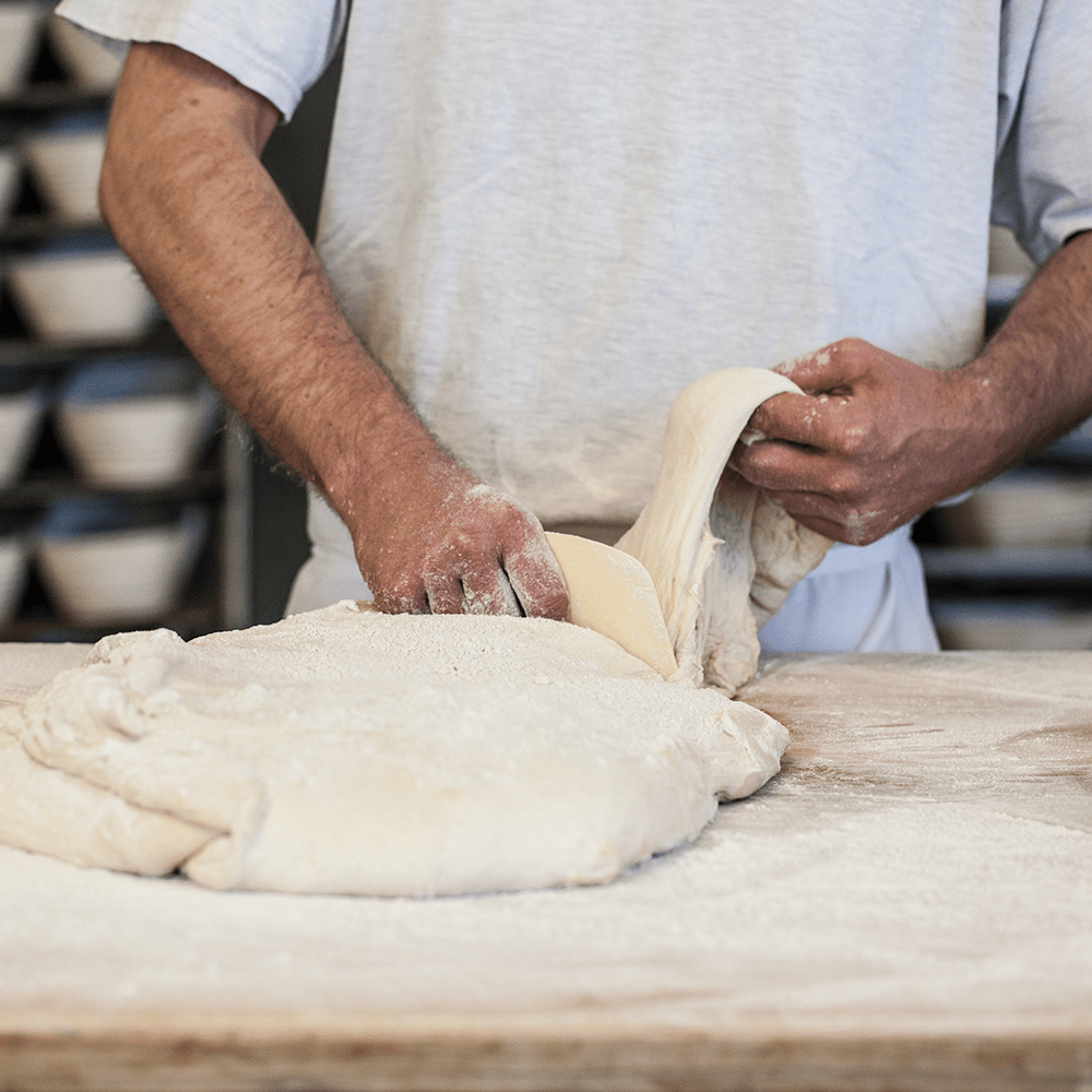 Unter der Lupe Handwerk in der Bäckerei Hager Bäckerei Hager