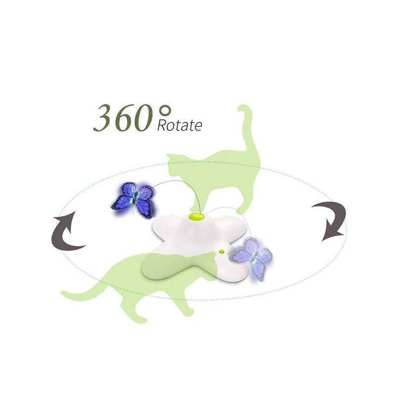 Halaly All You Need buy All For Paws Interactive Butterfly Flutter Bug