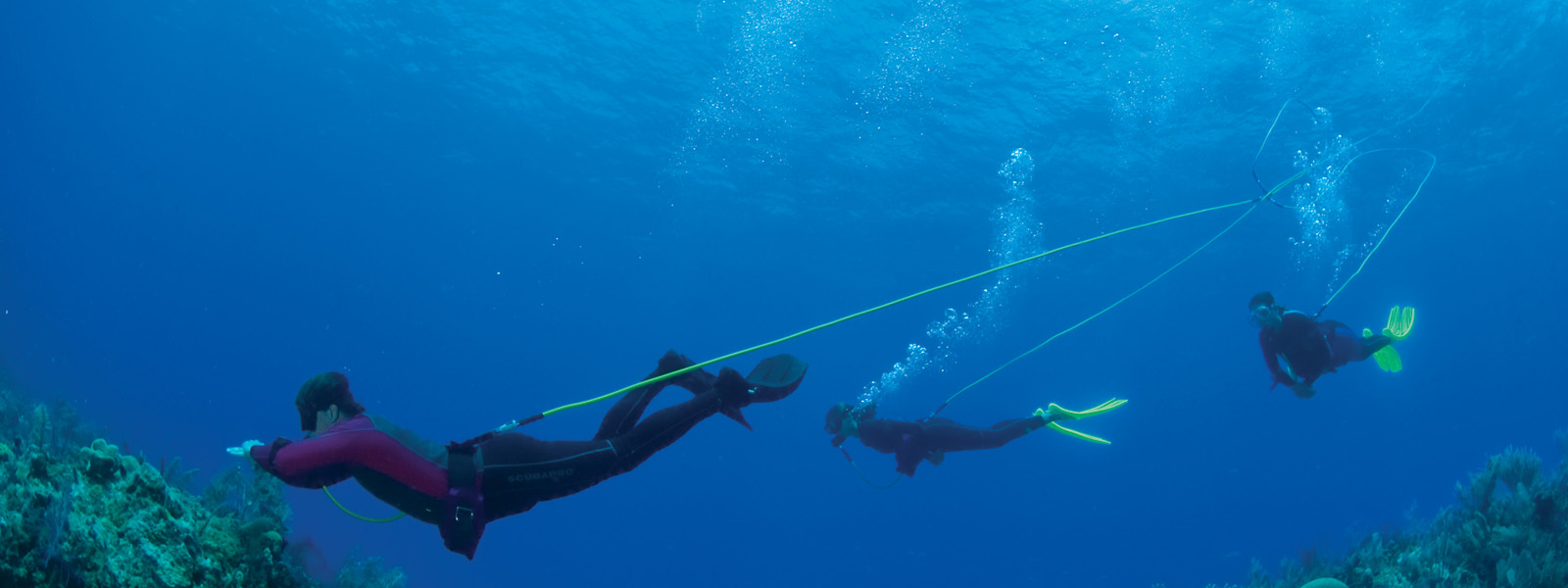 Diving Equipments in Sri Lanka halchem.lk