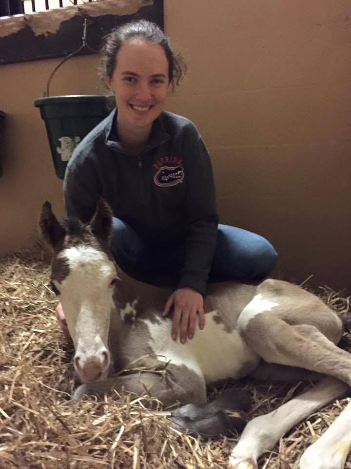 Half a Vet Pet Sitting Pet Sitters in Gainesville, Florida