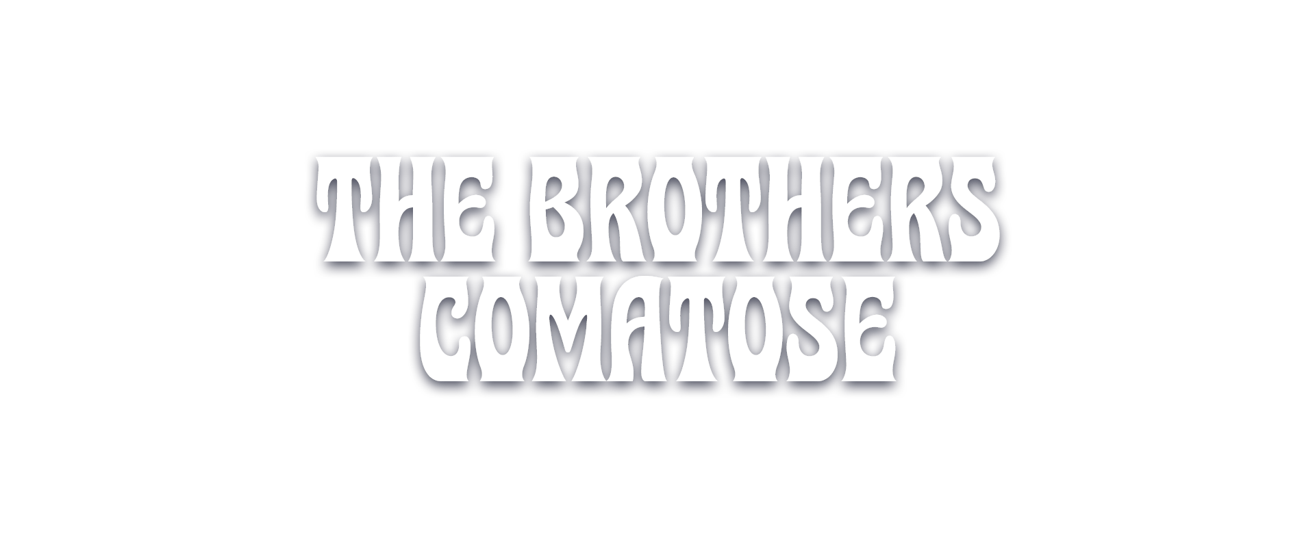 The Brothers Comatose Music on the Half Shell