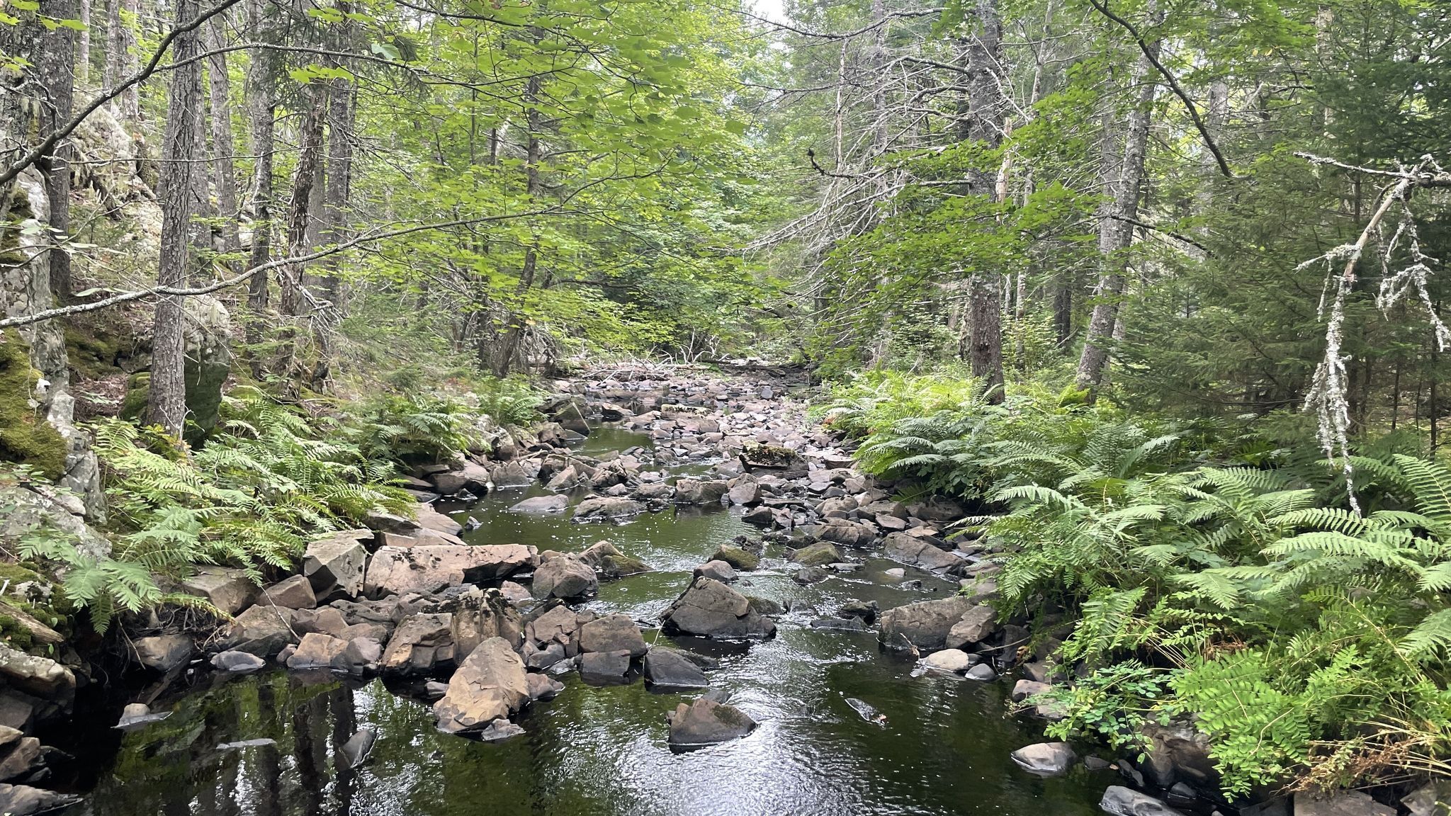 Fall River Waverley Homes For Sale