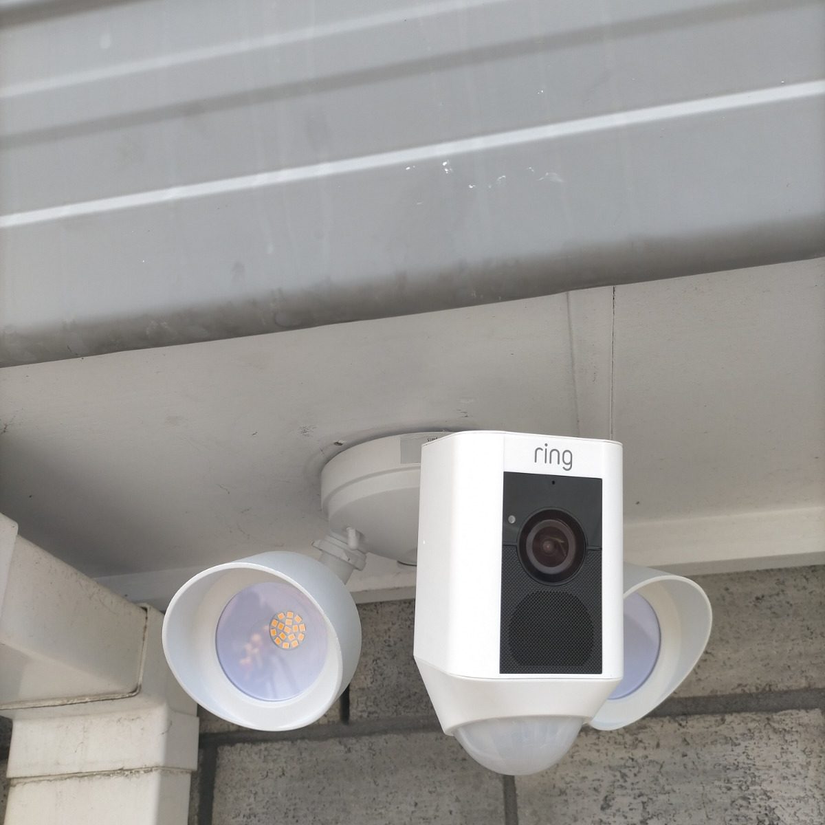 Outdoor Security Light Not Working After Changing Bulb Shelly Lighting