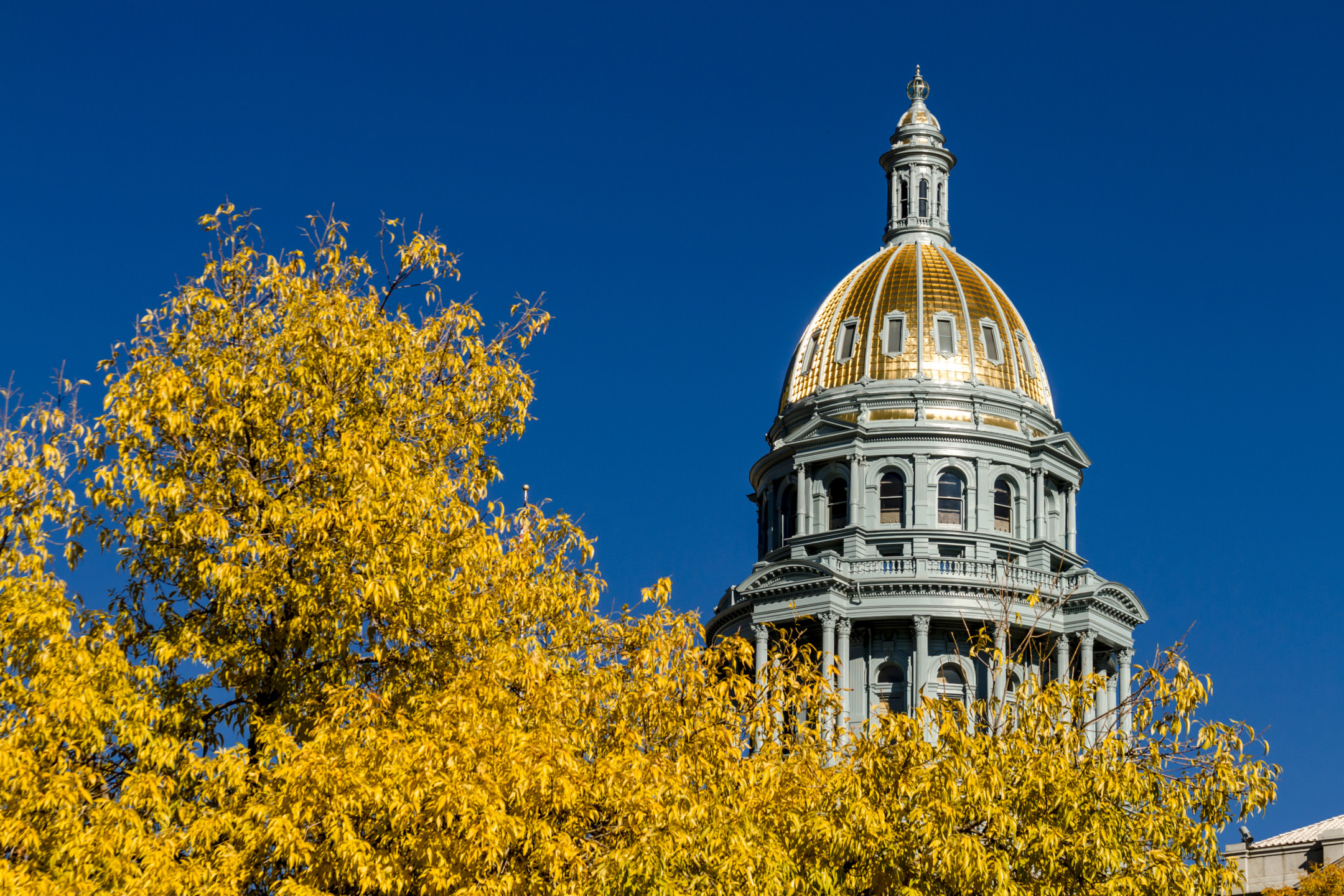 Colorado Legislature Limits Insurers??? Failure to Cooperate Defense
