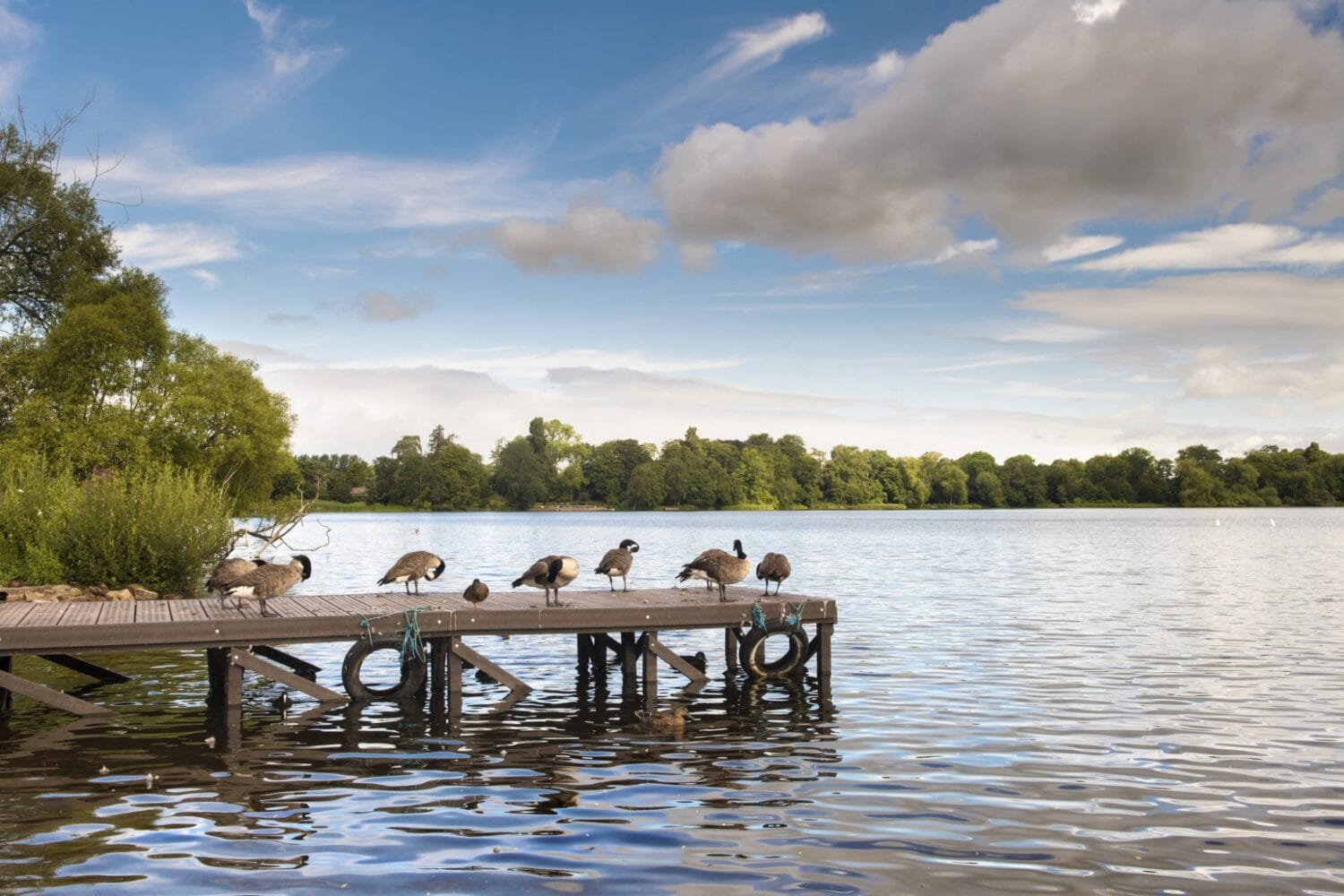 Ellesmere Area Guide Estate Agents & Auctioneers