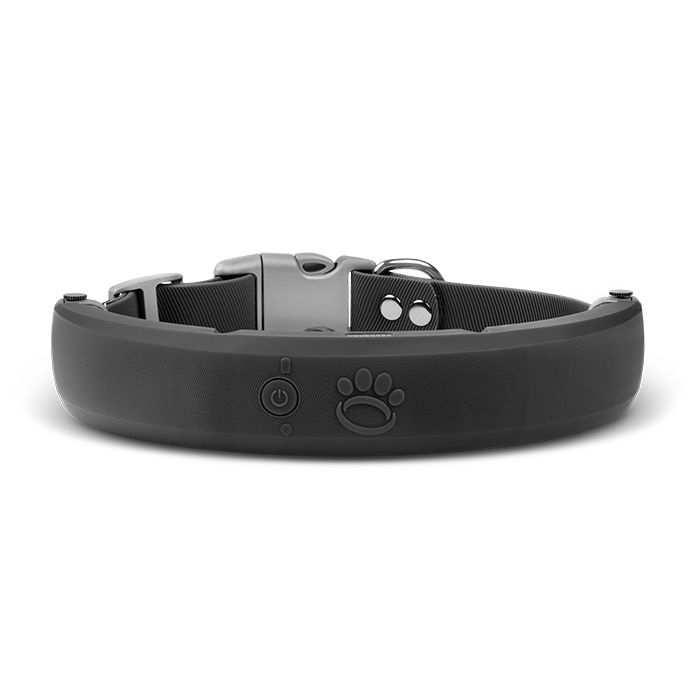 Shop GPS Dog Collar Fence & Accessories Halo Collar