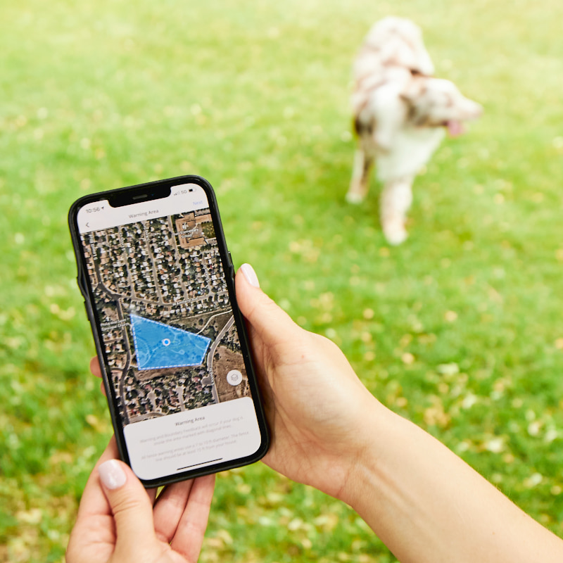 Invisible Fence SEO Halo with Cesar Millan