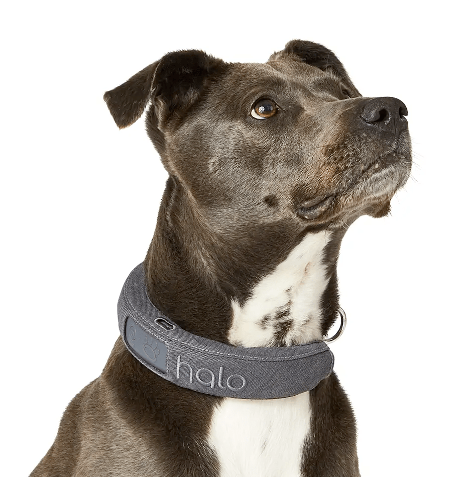 Our replacement programs have got you covered