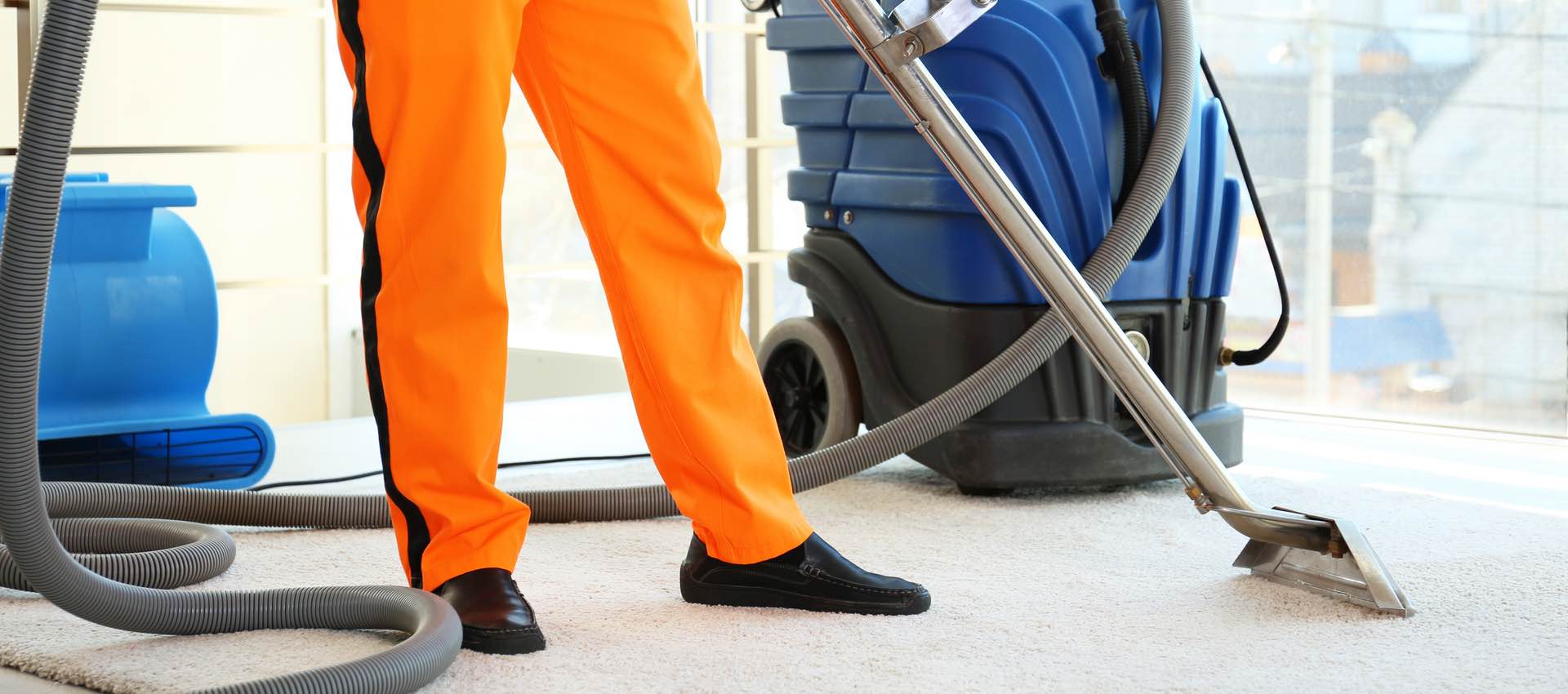 The Four Most Common Carpet Cleaning Methods Halo Restoration Services